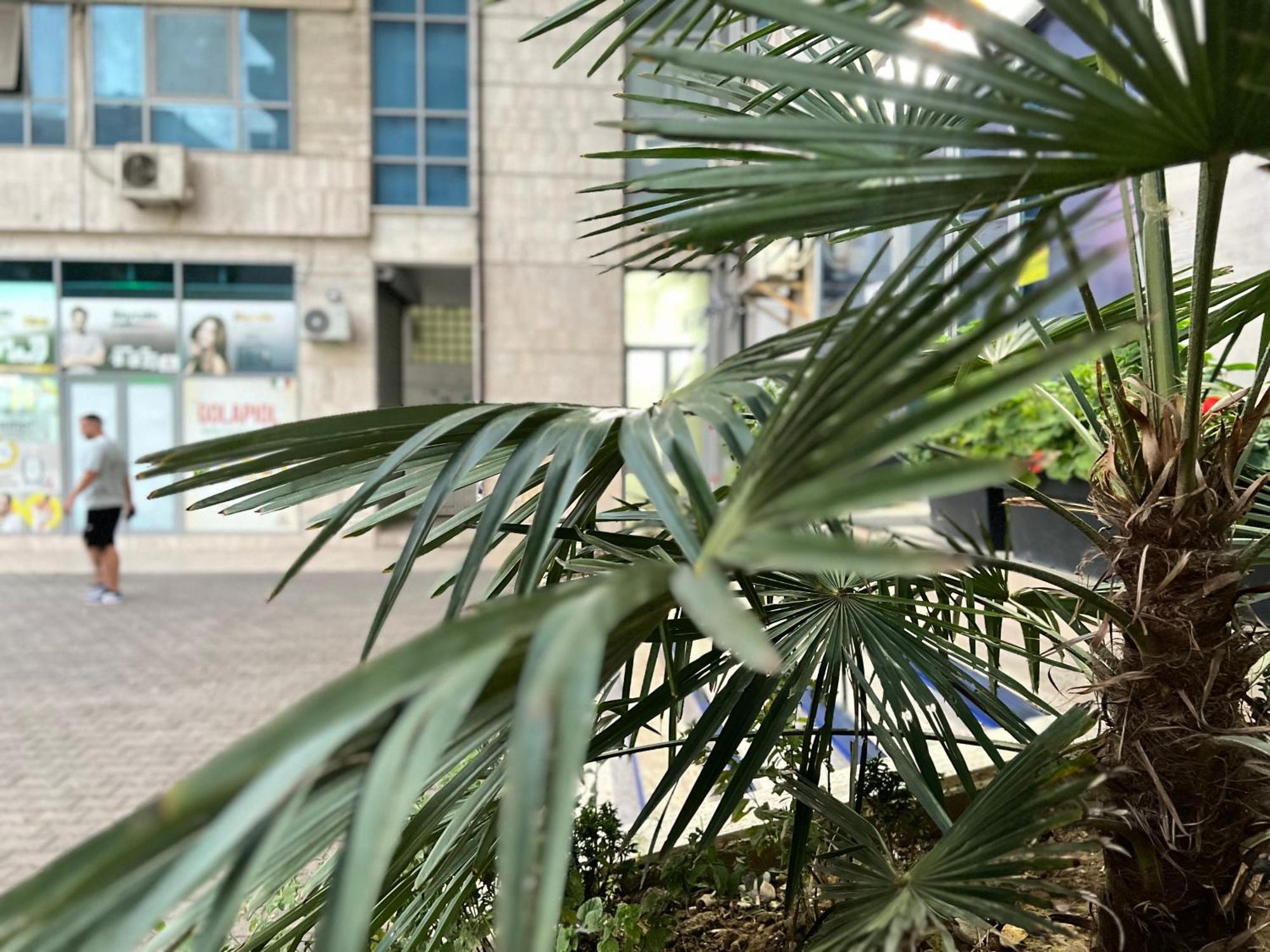 New Baazar Terrace Apartment ティラナ エクステリア 写真